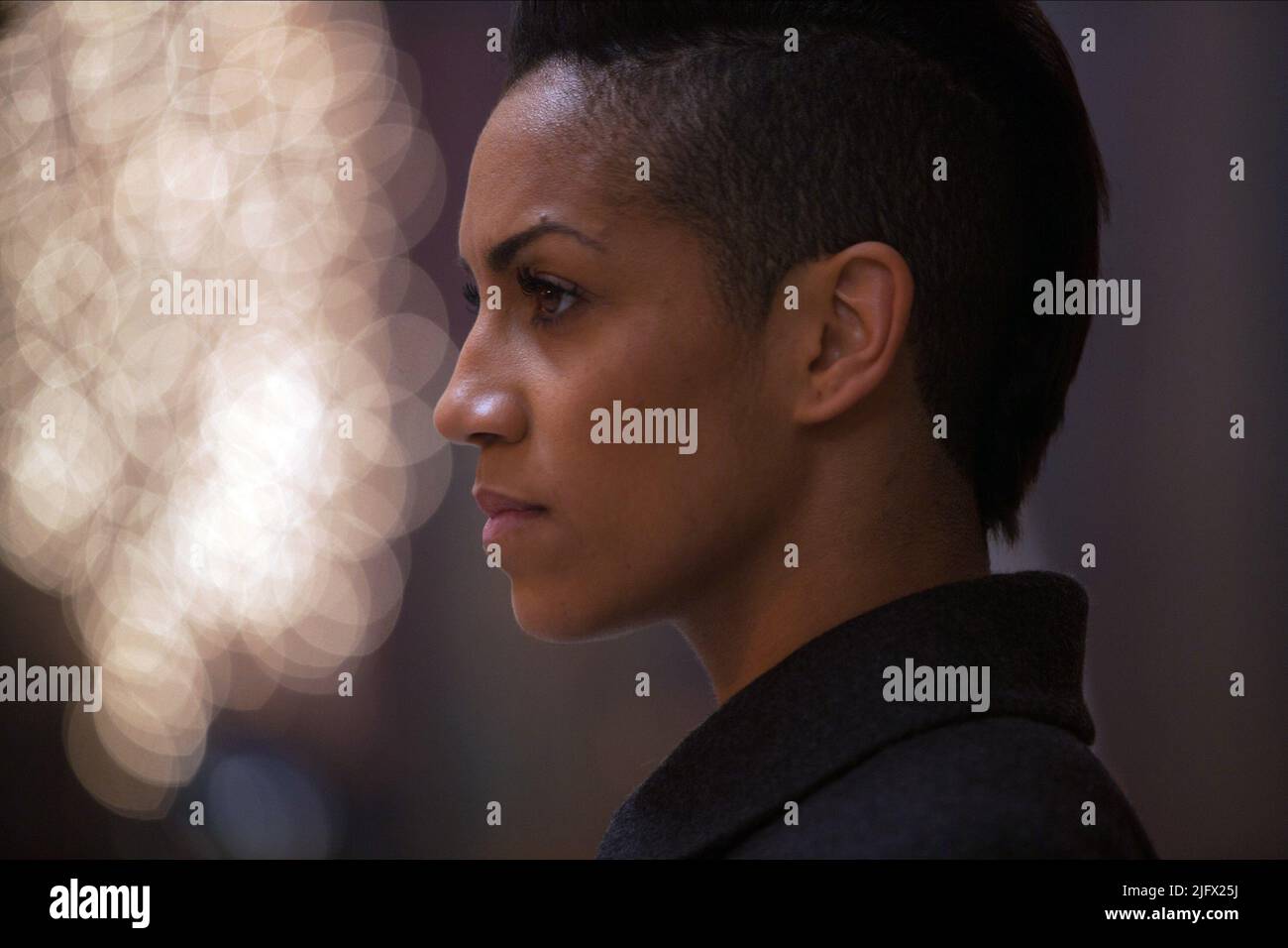 DOMINIQUE TIPPER, VAMPIRE ACADEMY, 2014 Stock Photo - Alamy