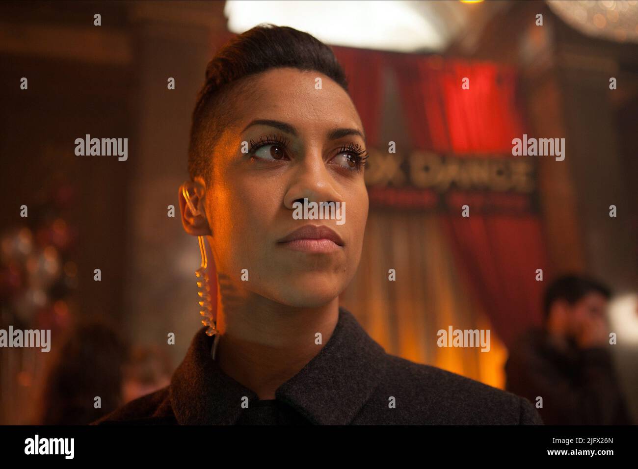 DOMINIQUE TIPPER, VAMPIRE ACADEMY, 2014 Stock Photo - Alamy