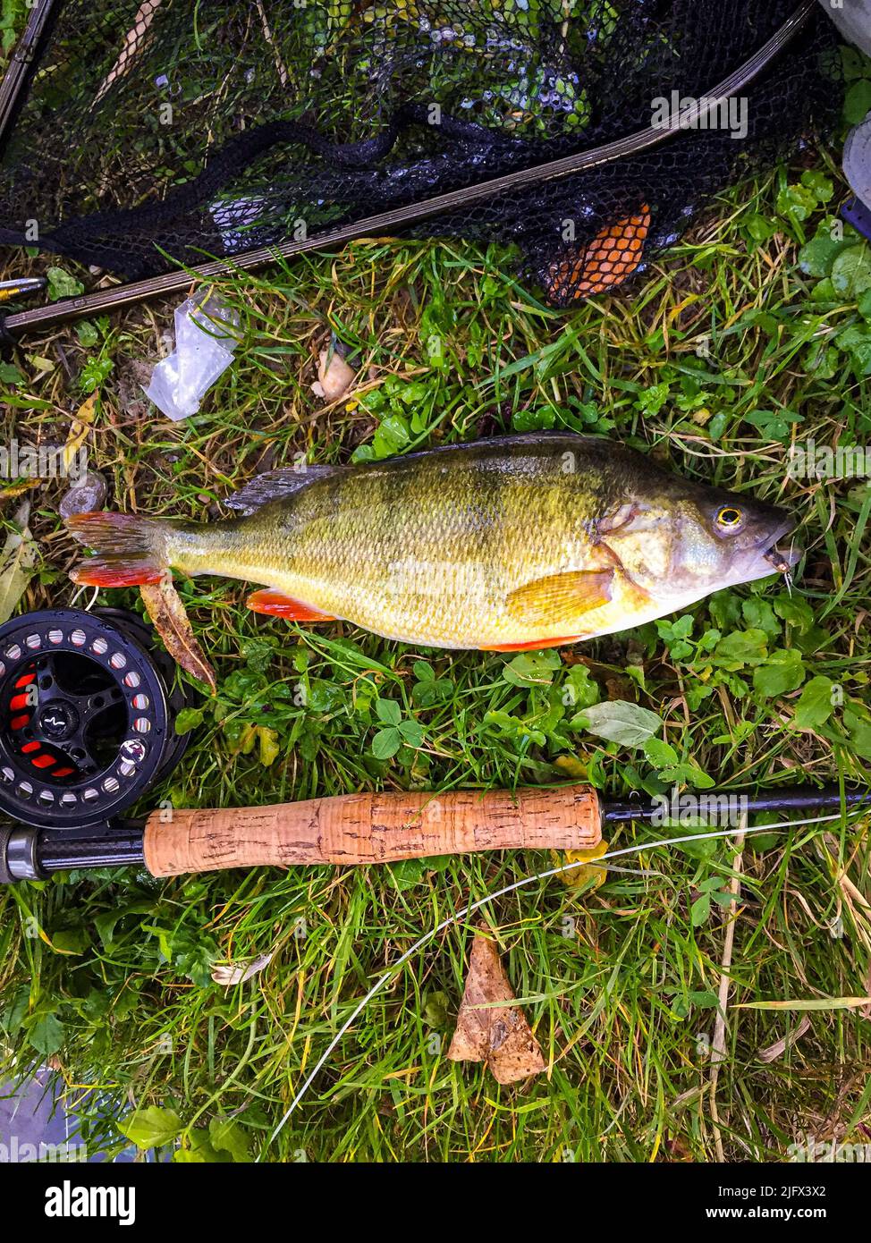 A vertical top view of a caught fish and a fishing pole on the ground Stock Photo