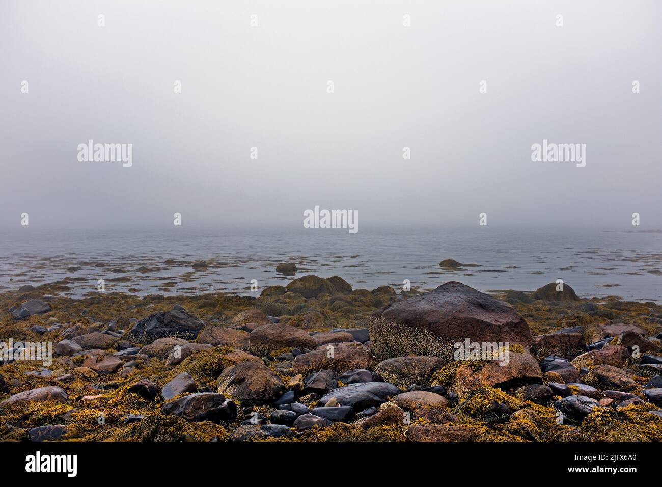 Heavy Fog during Low tide at Rocky Beach Stock Photo - Alamy