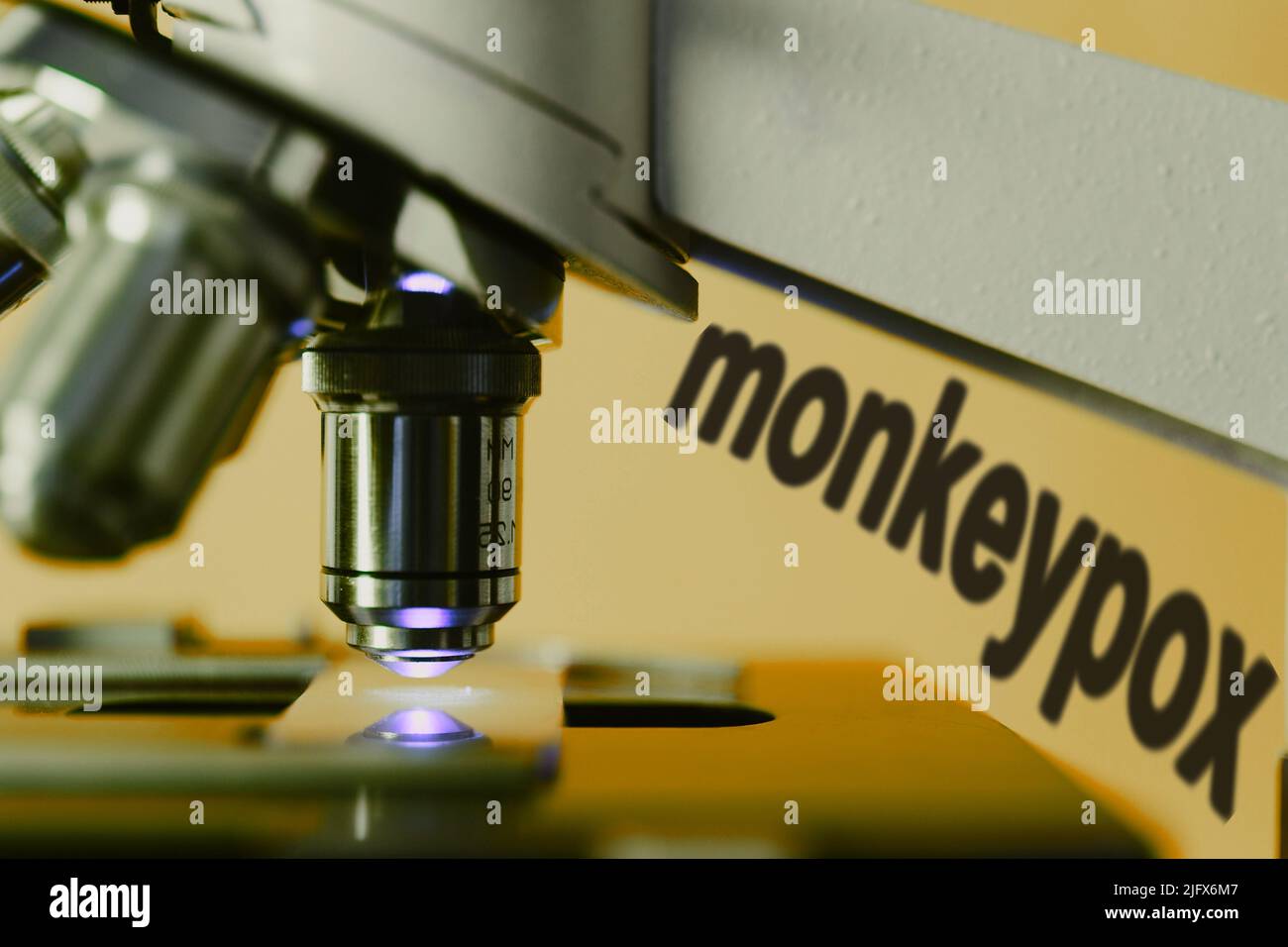 Monkypox virus under microscope Stock Photo