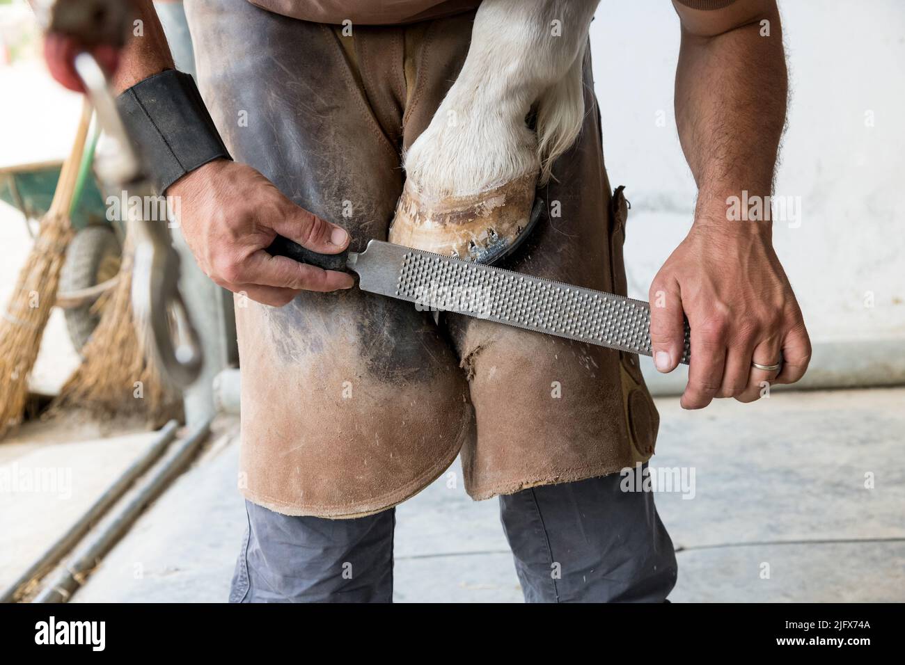 Unrecognizable male farrier in leather apron removing excess keratin from horse hoof with rough file while working outside workshop in daytime on farm Stock Photo