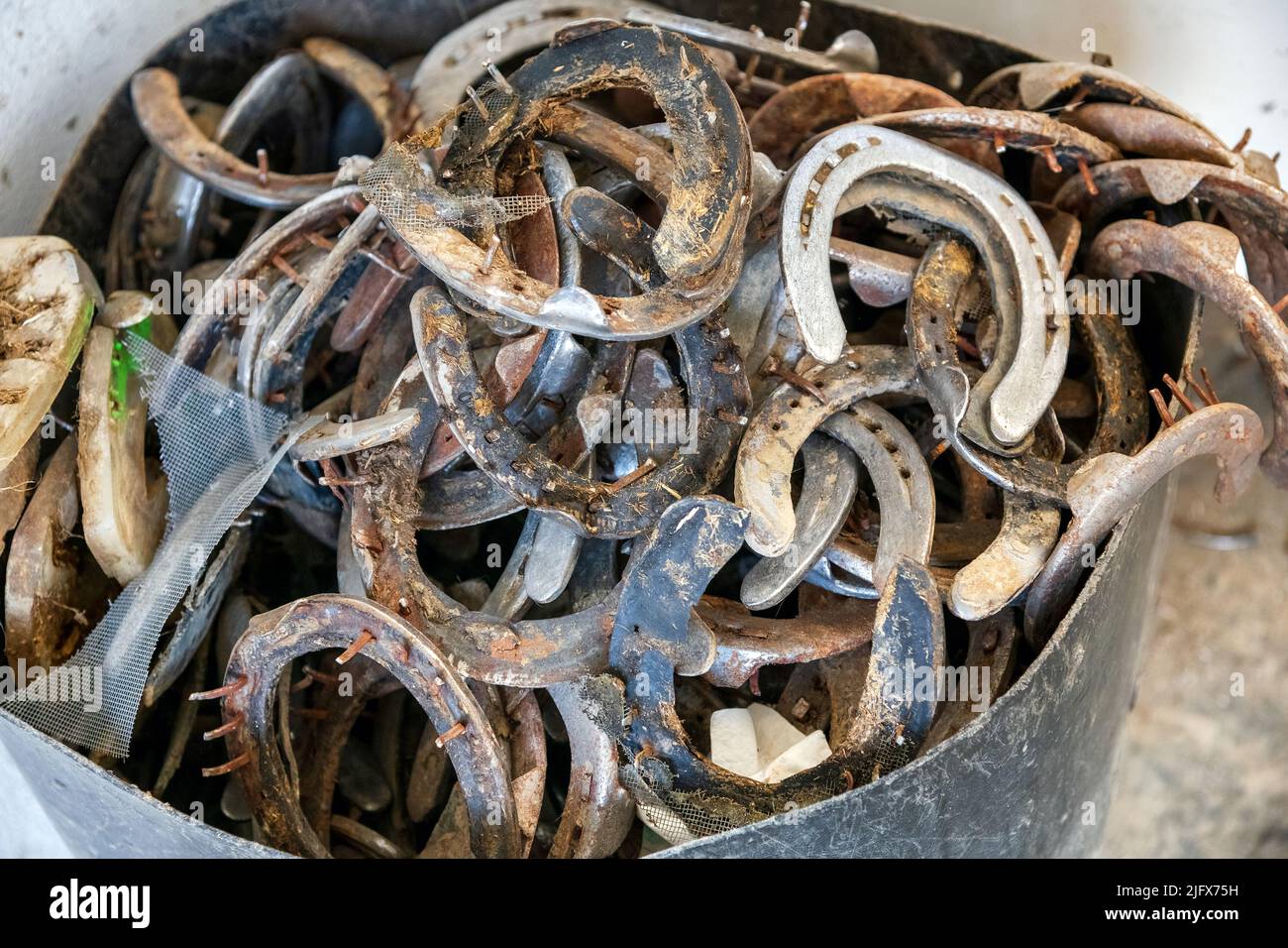 From above used corroded horseshoes placed inside container in farrier workshop on farm Stock Photo