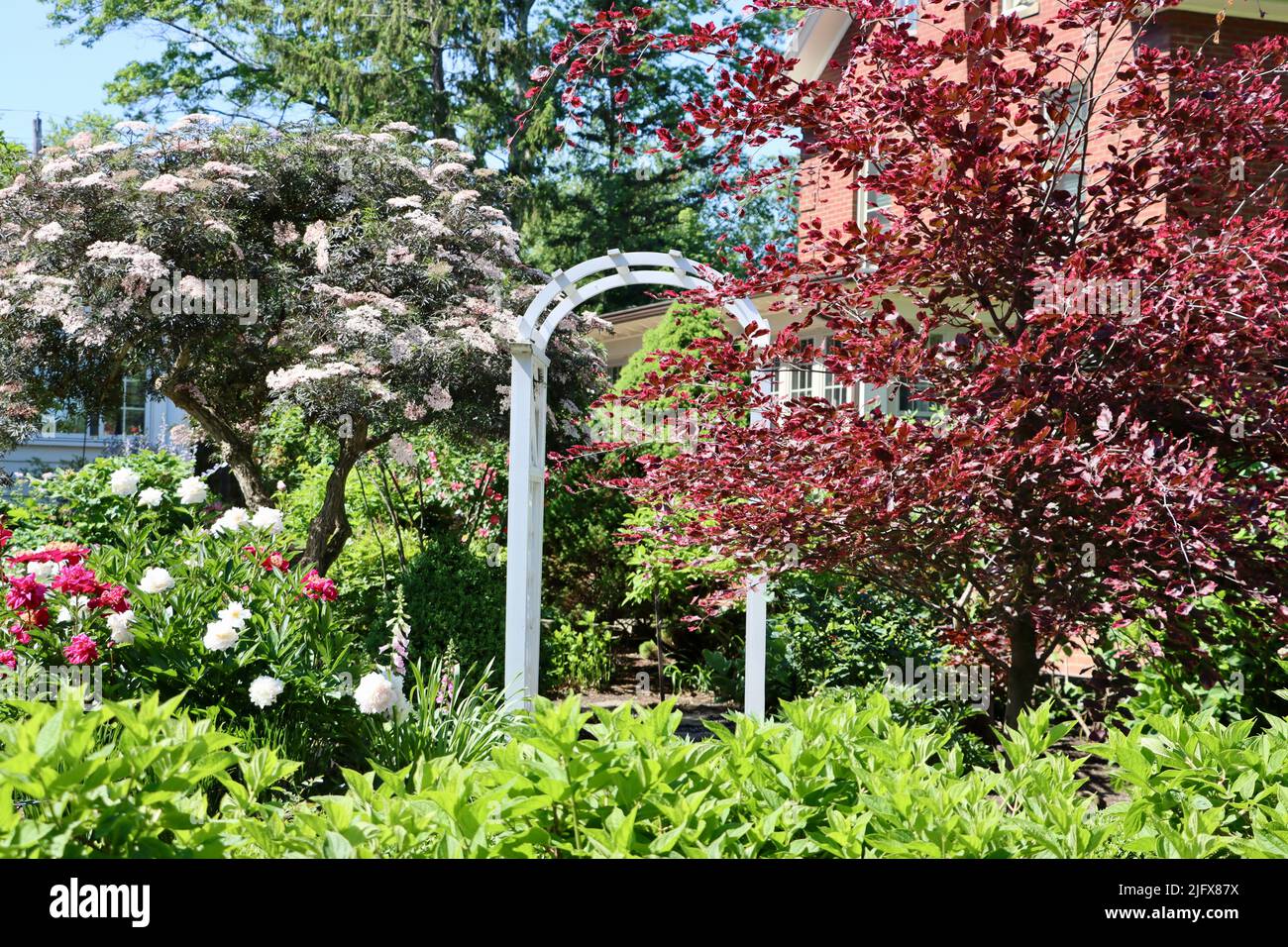 Beautiful garden in Lakewood, Ohio in May 2022 Stock Photo Alamy
