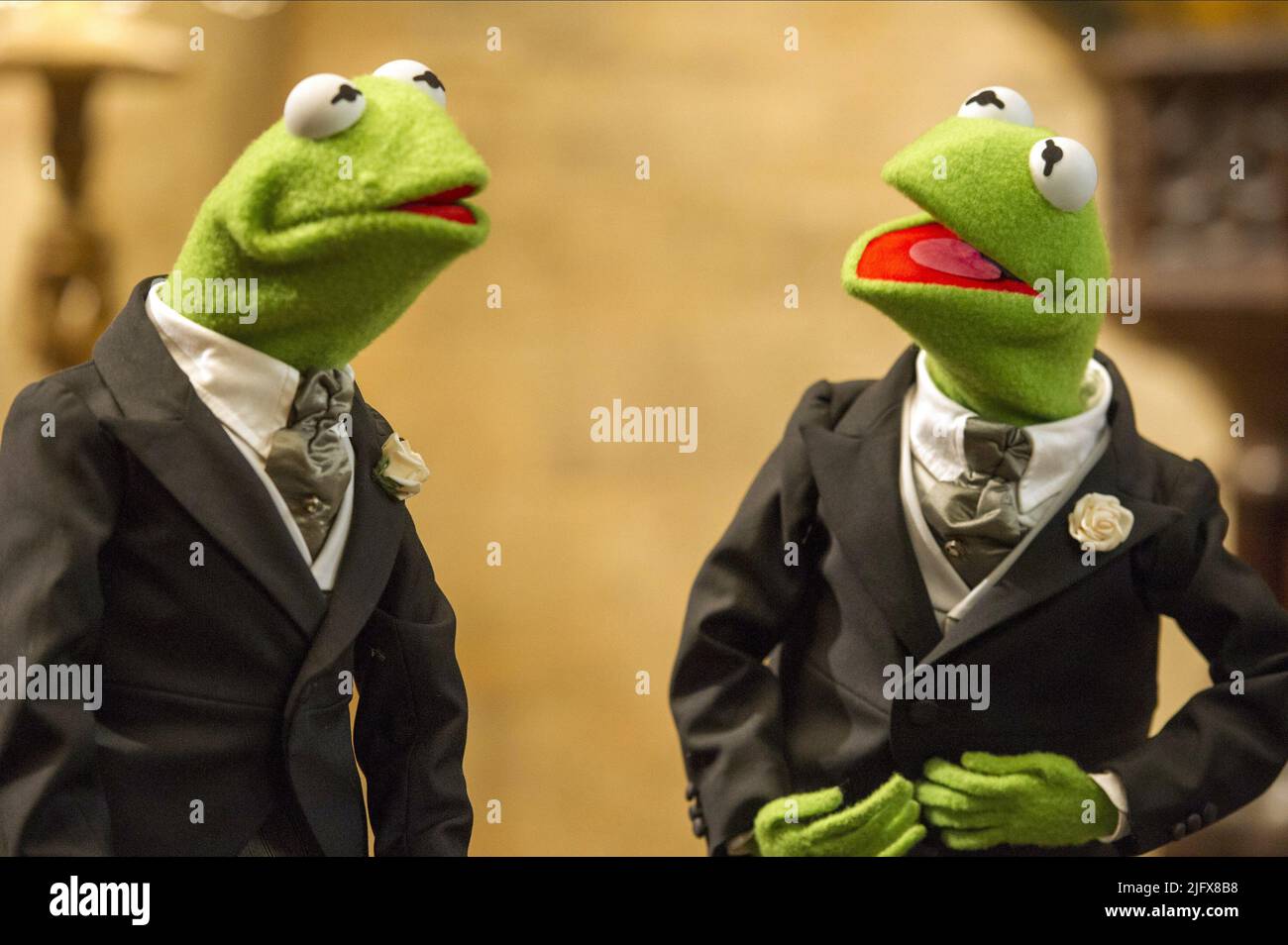 KERMIT, MUPPETS MOST WANTED, 2014 Stock Photo