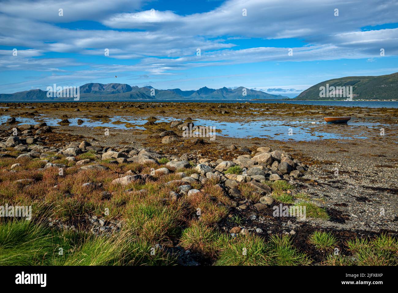 Salt marshes landscape, Lofoten Islands, Norway Stock Photo - Alamy