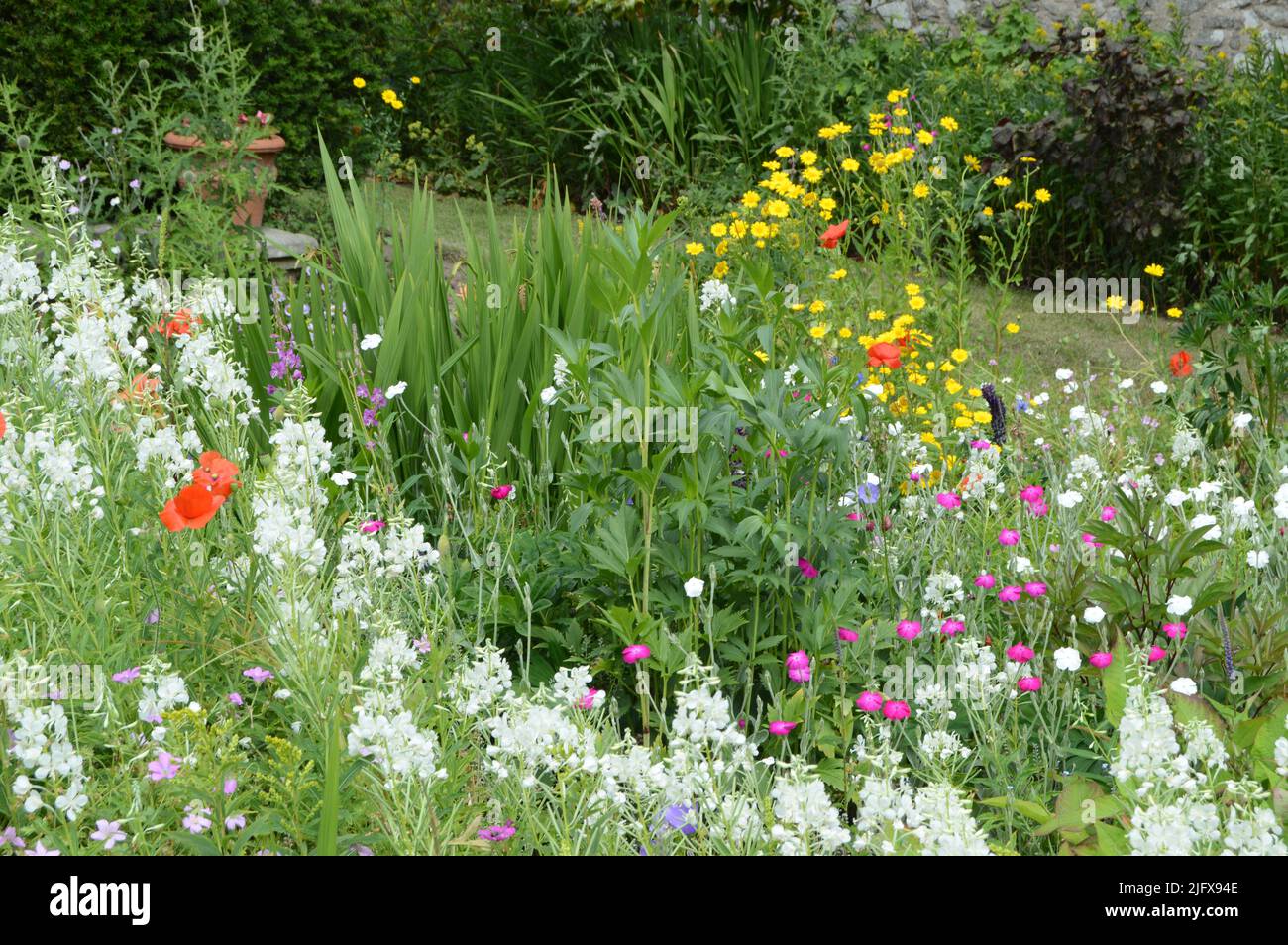 Magnificent flower borders with lots of native wildflowers at 16th century Earlshall Castle, Leuchars, Fife, Scotland, July 2022, Open Gardens Stock Photo