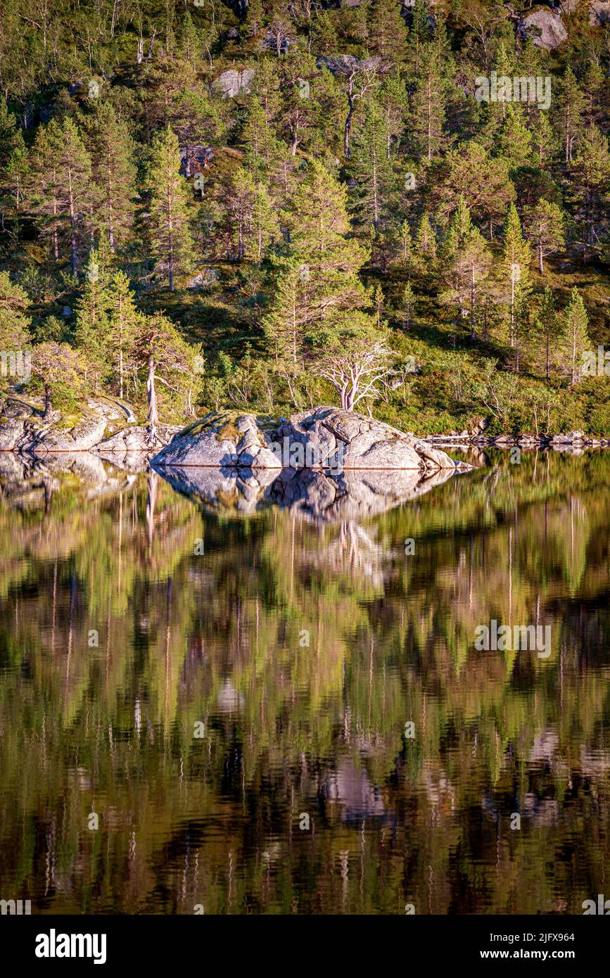 Landscape reflections, Nordland County, Norway Stock Photo
