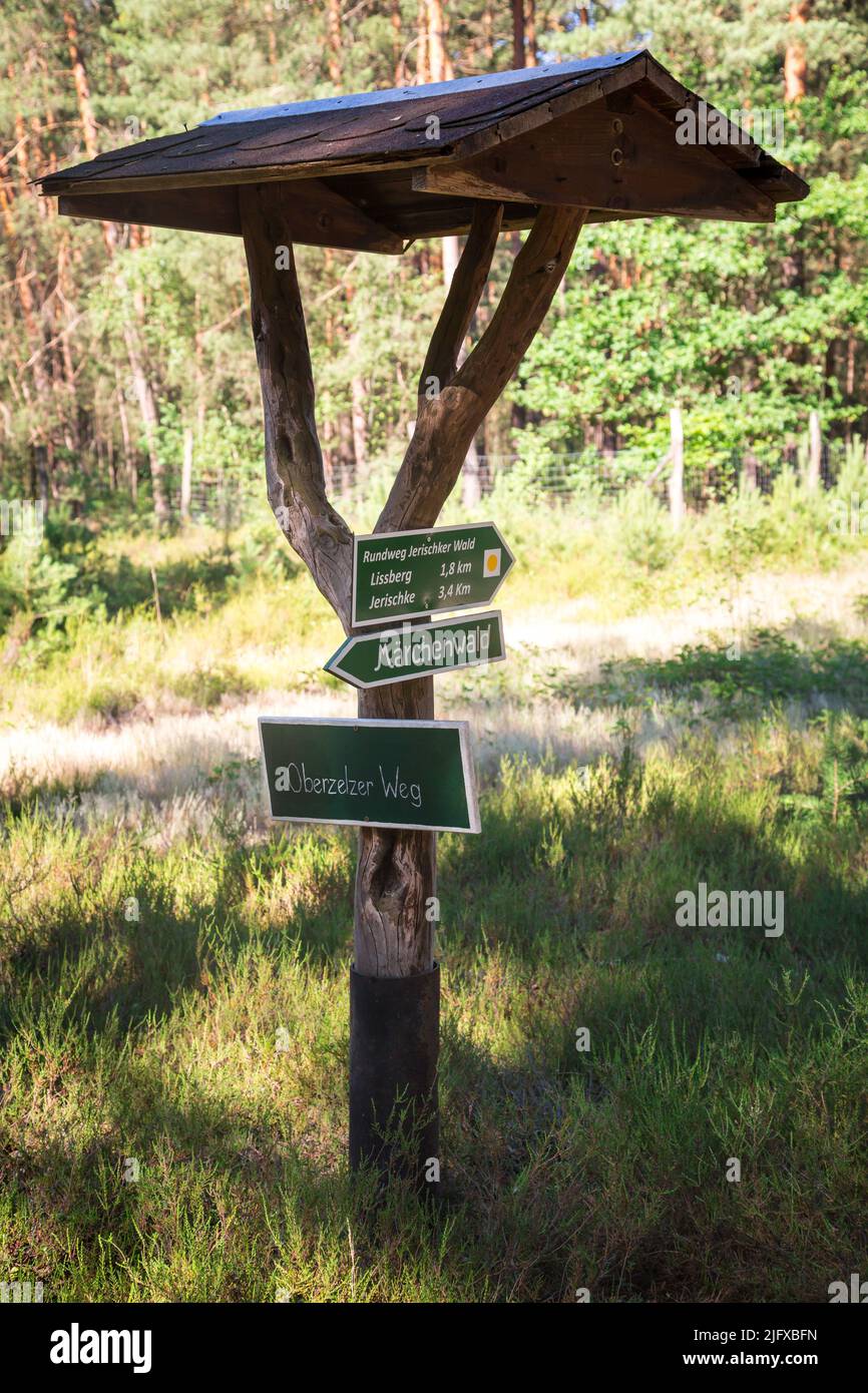 Signposts in a pine forest, Lusatia, Germany Stock Photo