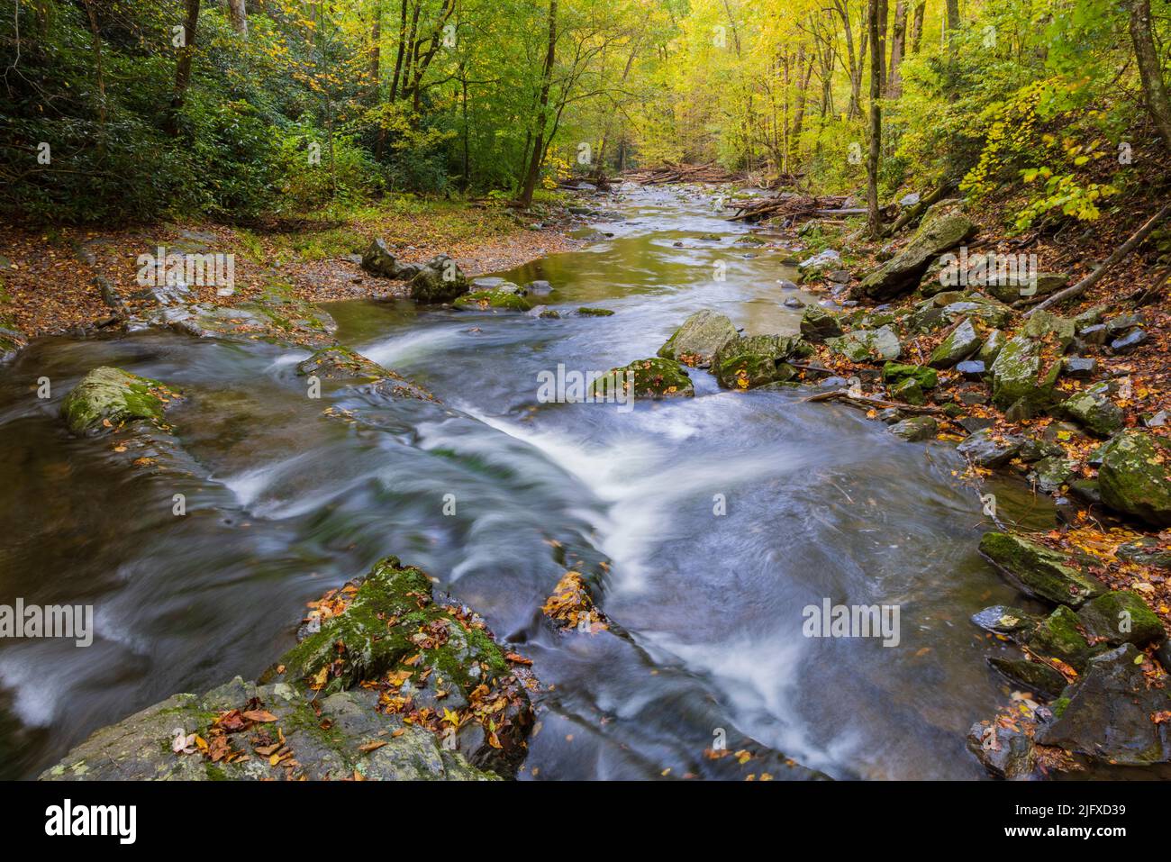 66745-05403 Middle Prong of the Little River in fall Great Smoky Mountains National Park TN Stock Photo