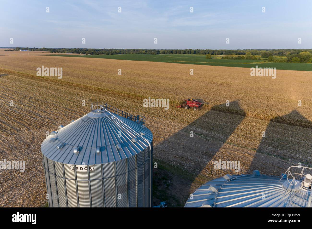 63801-21508 Farmer harvesting corn Marion Co. IL Stock Photo