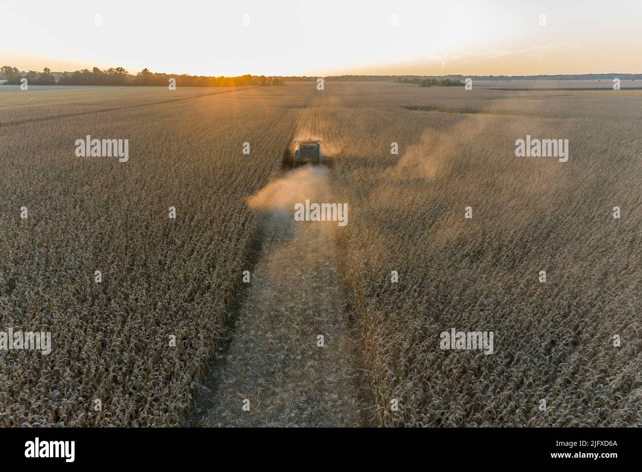63801-21917 Farmer harvesting corn at sunset Marion Co. IL Stock Photo