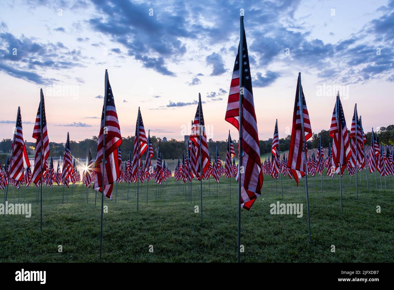 65095-03119 Flags of Valor display on Art Hill by St. Louis Art Museum Forest Park St. Louis MO Stock Photo