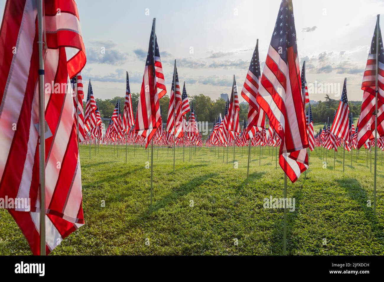 65095-03314 Flags of Valor display on Art Hill by St. Louis Art Museum Forest Park St. Louis MO Stock Photo
