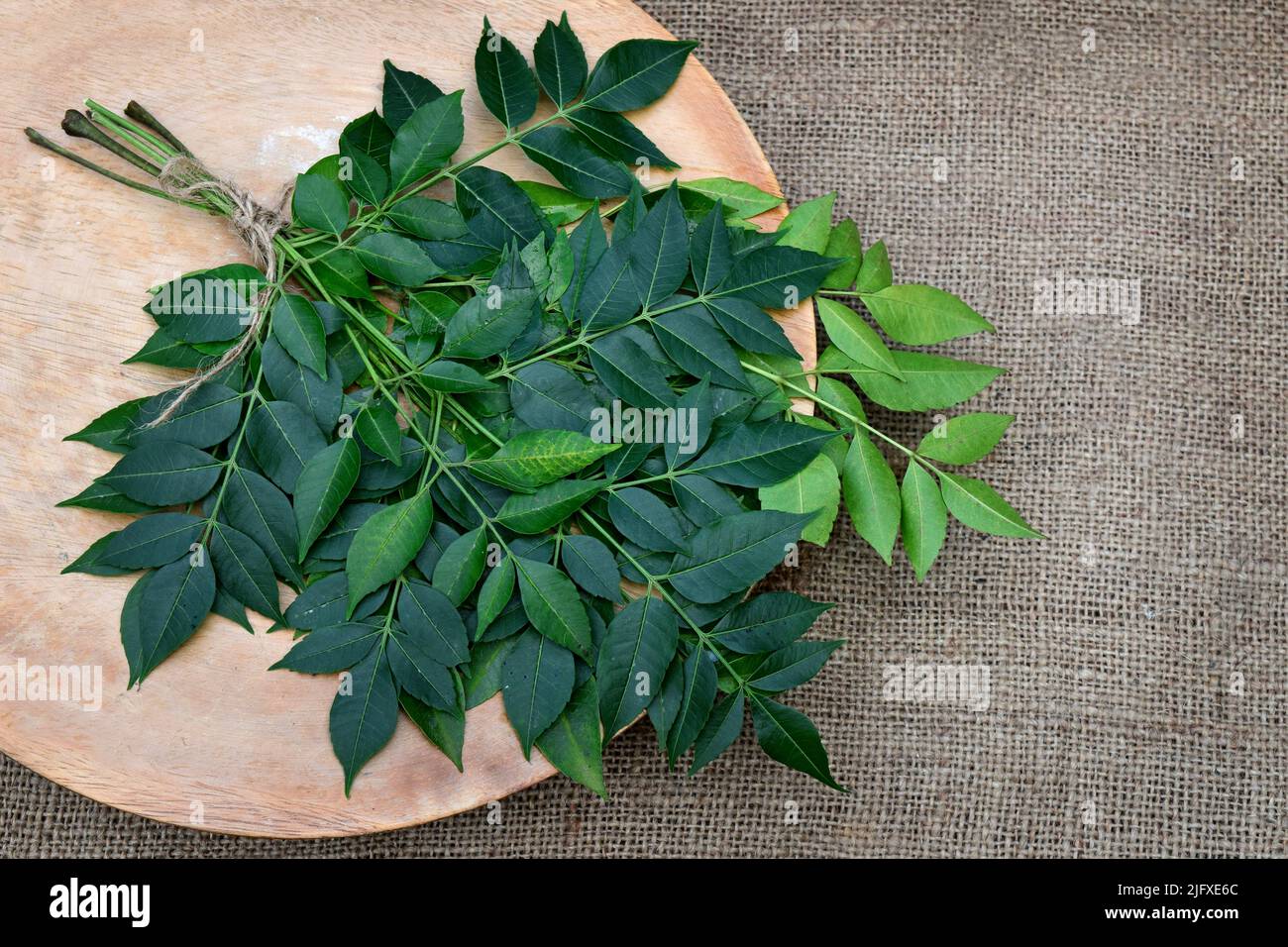 Medicinal neem leaves on wooden background. Lot of Neem leaf on wood backdrop. Neem use as raw material in homeopathy, and ayurvedic medicinal herb. Stock Photo