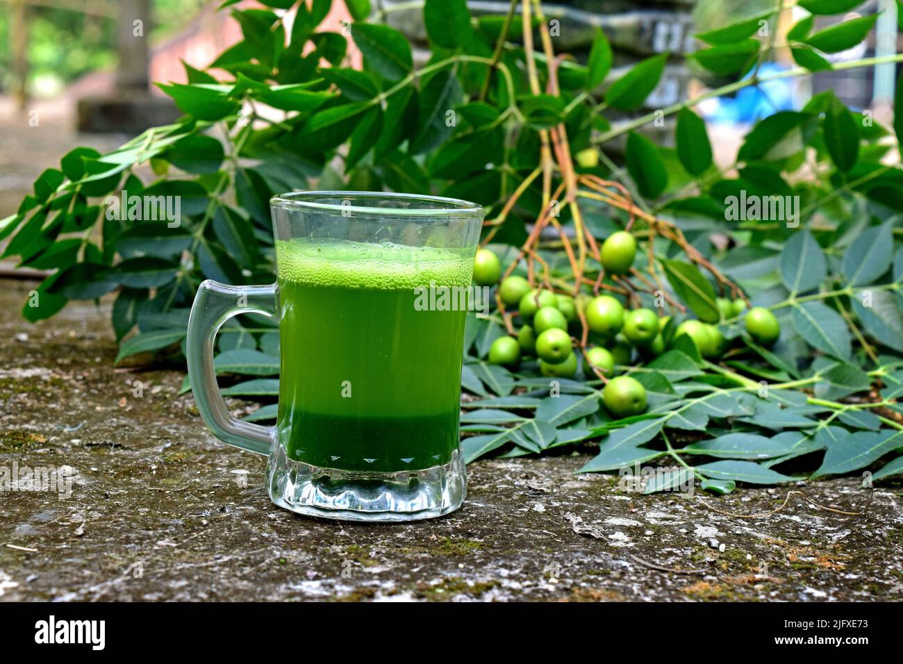 Neem medicinal herb juice in glass cup. Neem leaves, fruits on abstract