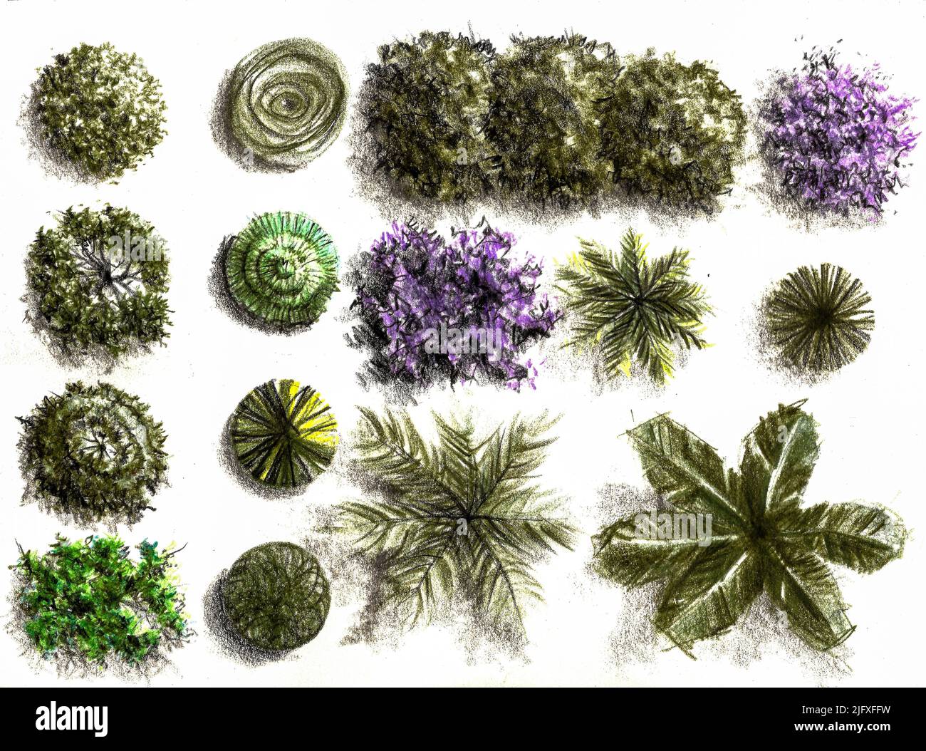Vilot hi-res stock photography and images - Alamy