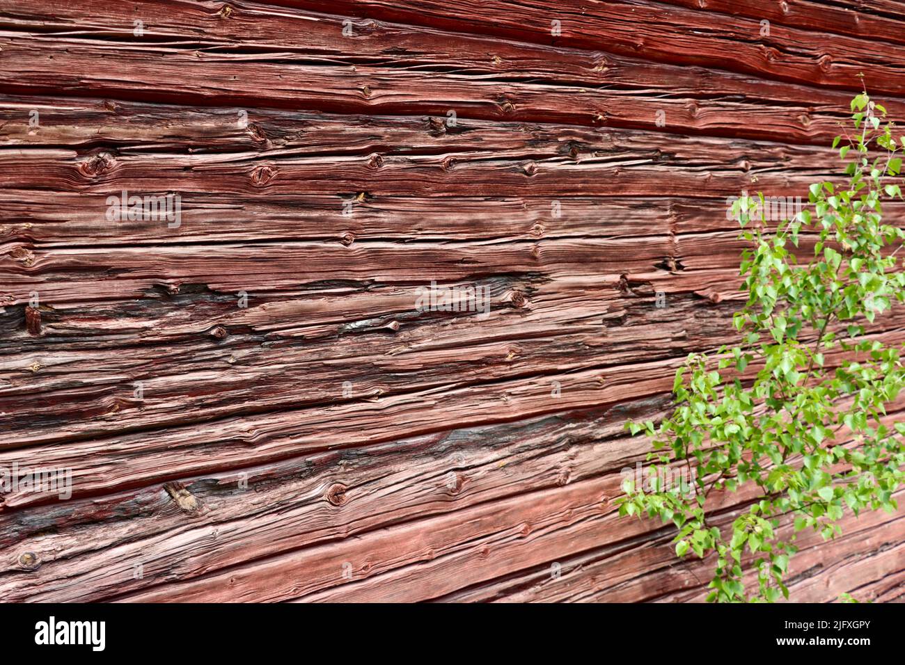 Old log building in Uukuniemi in Eastern Finland in June 2022 Stock Photo