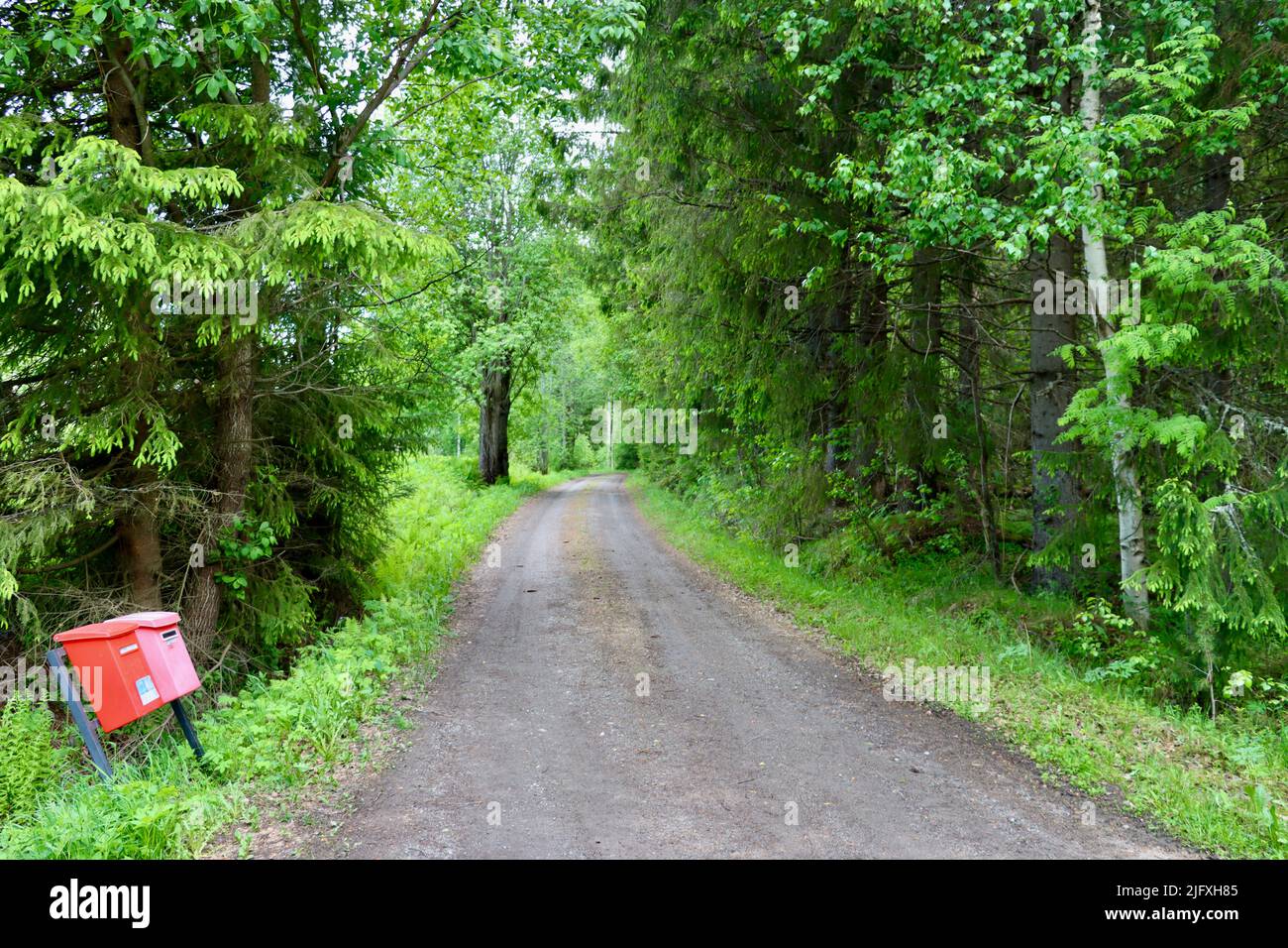Red mail box by a country dirt road through forest in Uukuniemi in Eastern Finland in June 2022 Stock Photo