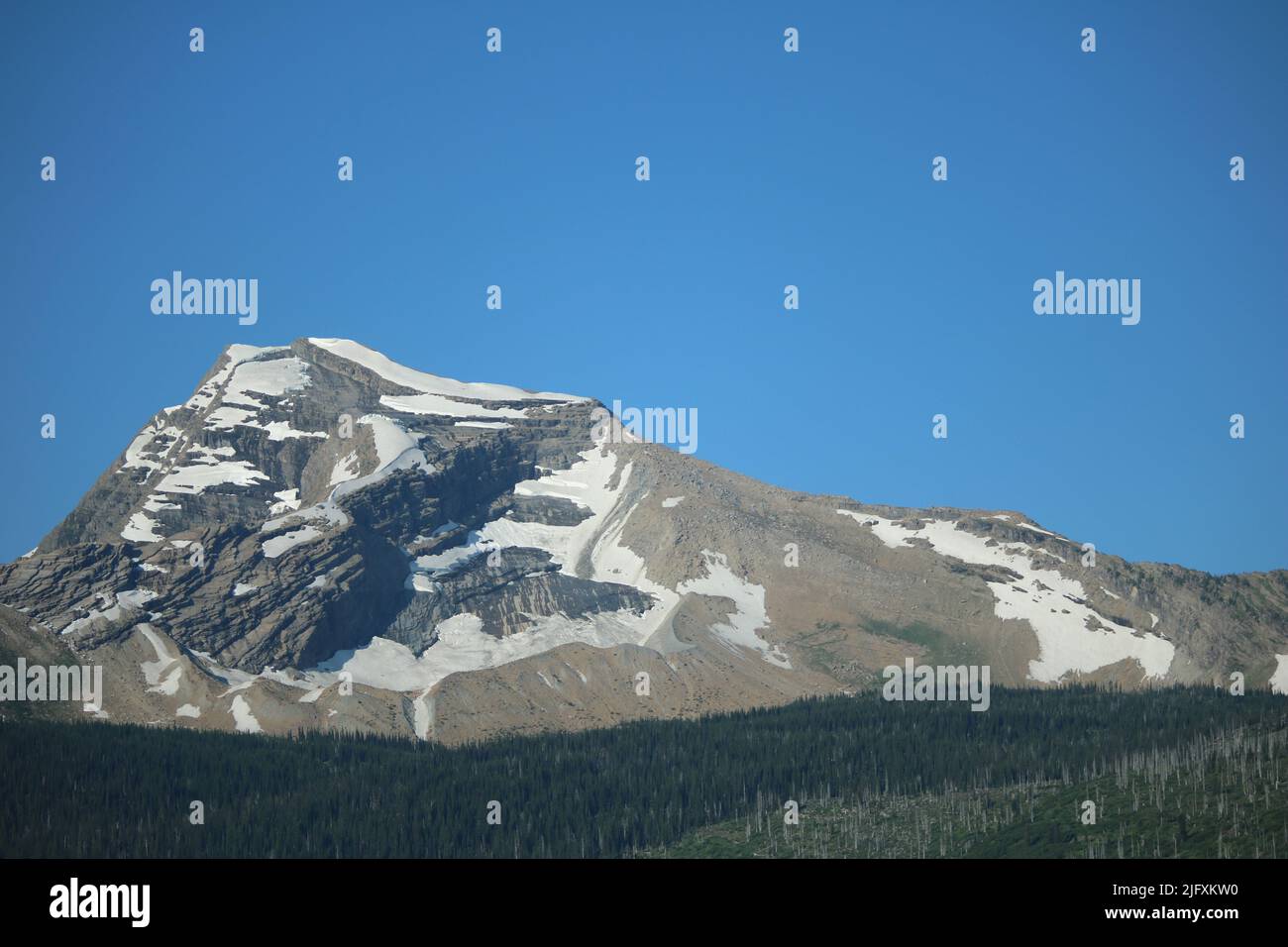Heavens Peak Glacier National Park Montana USA - brilliant blue sky over majestic mountain peak with melting snow, pine forest, recovering burn areas Stock Photo