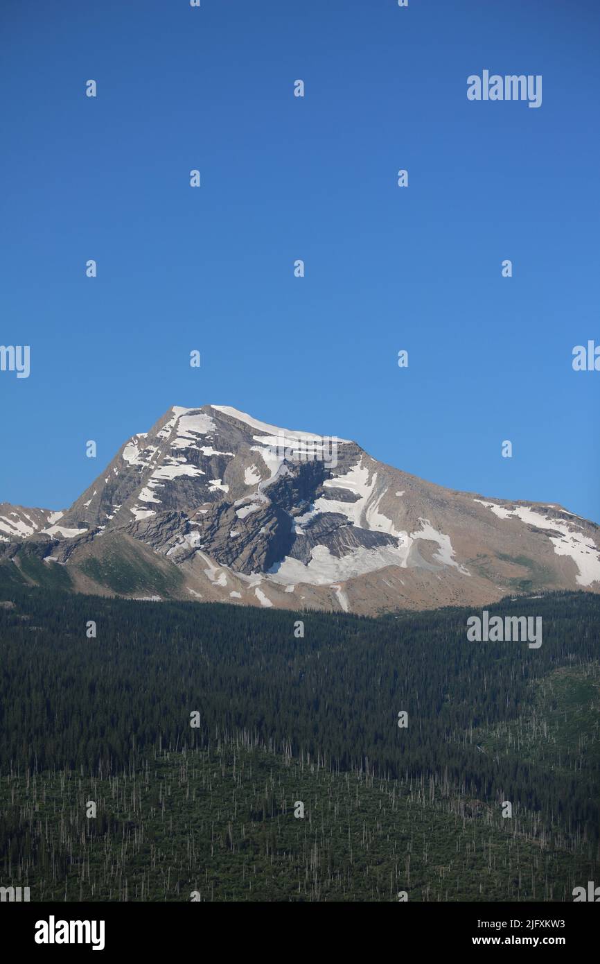 Heavens Peak Glacier National Park Montana USA - brilliant blue sky over majestic mountain peak with melting snow, pine forest, recovering burn areas Stock Photo