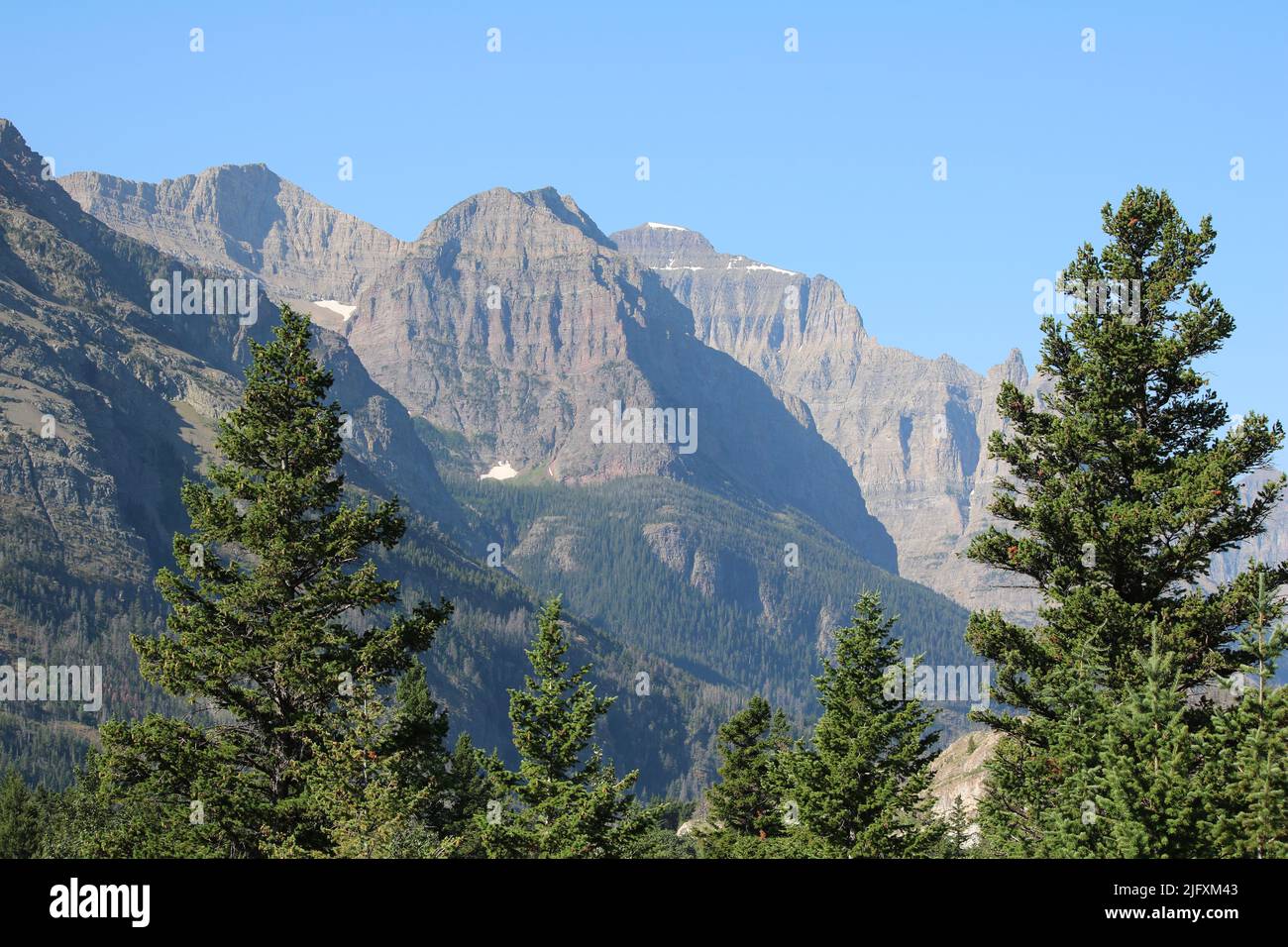 Majestic peaks Mahtotopa & Little Chief Mountains, flank of Red Eagle Mountain, brilliant blue sky, green pine forest, Glacier National Park, MT, US Stock Photo