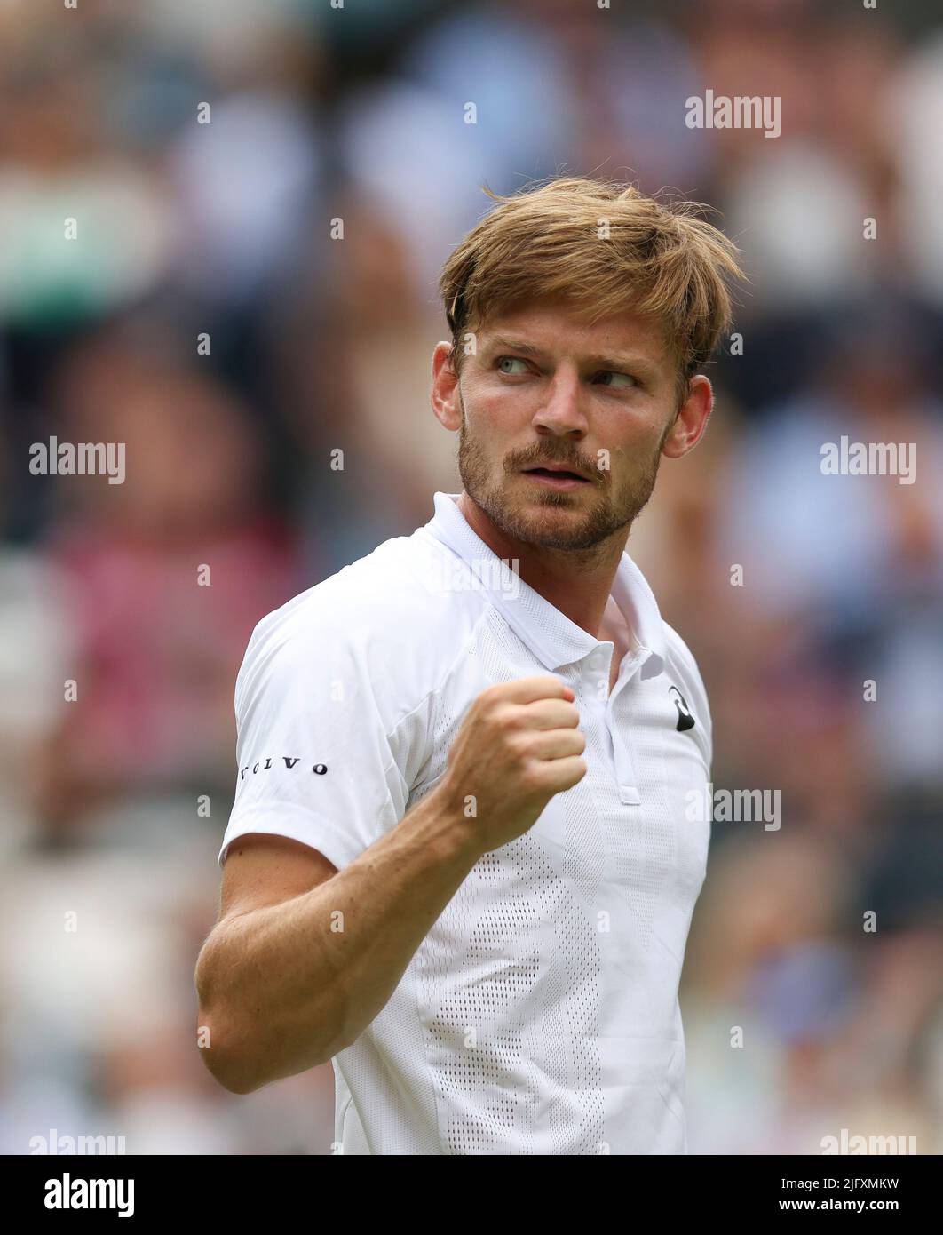 David goffin cameron norrie hires stock photography and images Alamy