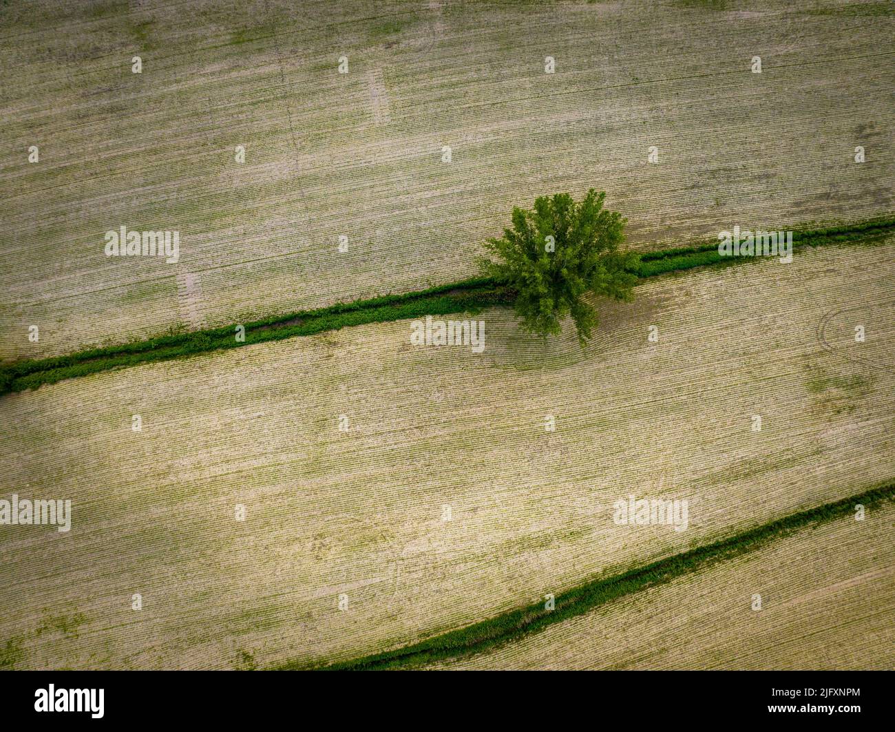 Aerial view of rural farmlands on an island of the Hochelaga archipelago on the St. Lawrence River. Stock Photo
