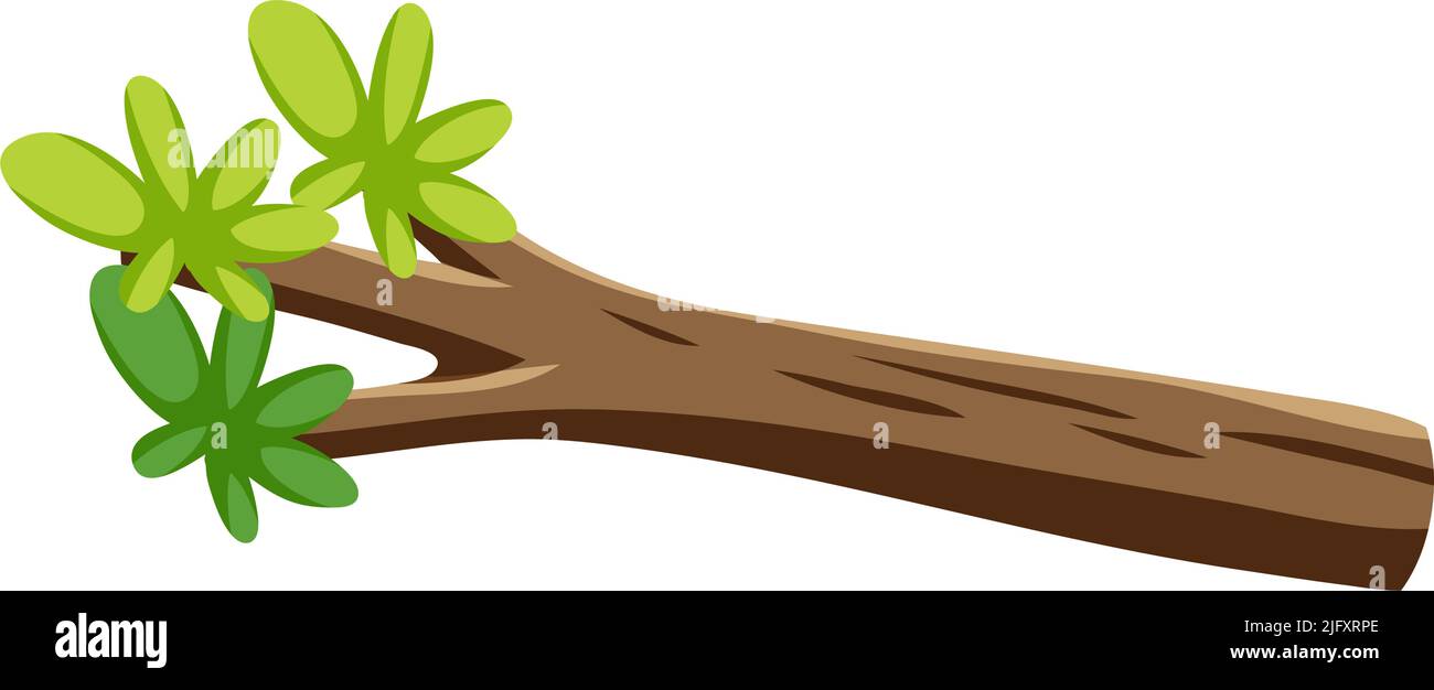 Isolated branch of tree illustration Stock Vector Image & Art - Alamy