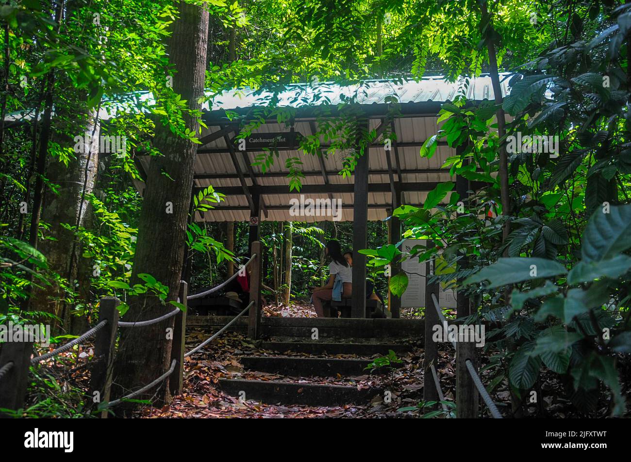 At the South View Hut on Bukit Timah Nature Reserve, Singapore Stock Photo