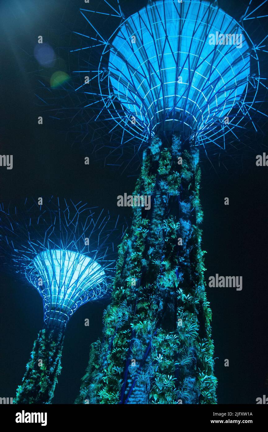 Supertrees at Gardens by the Bay South, Singapore Stock Photo