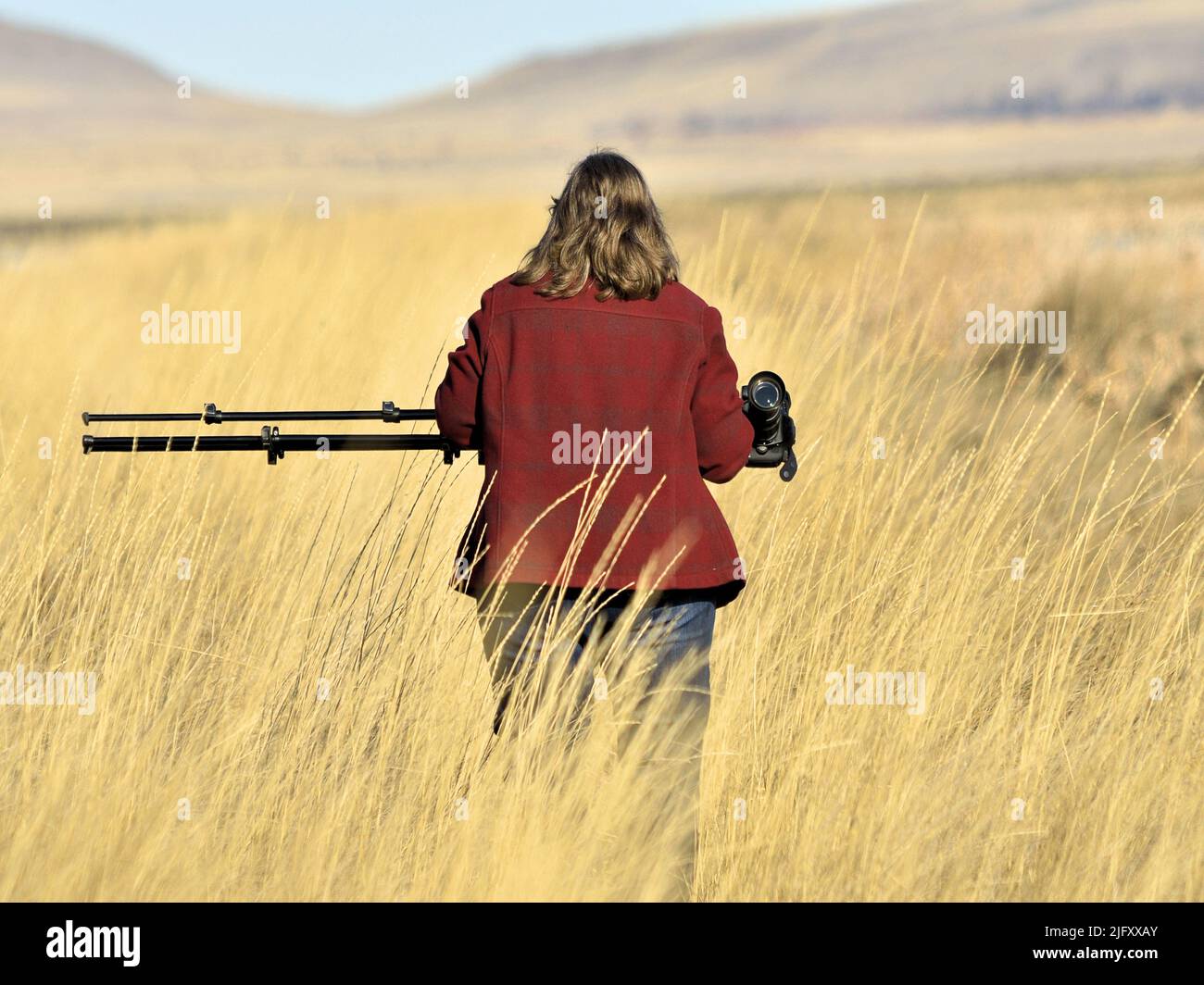 Photographer carries equipment througoh an open field to take a landscape picture. Stock Photo