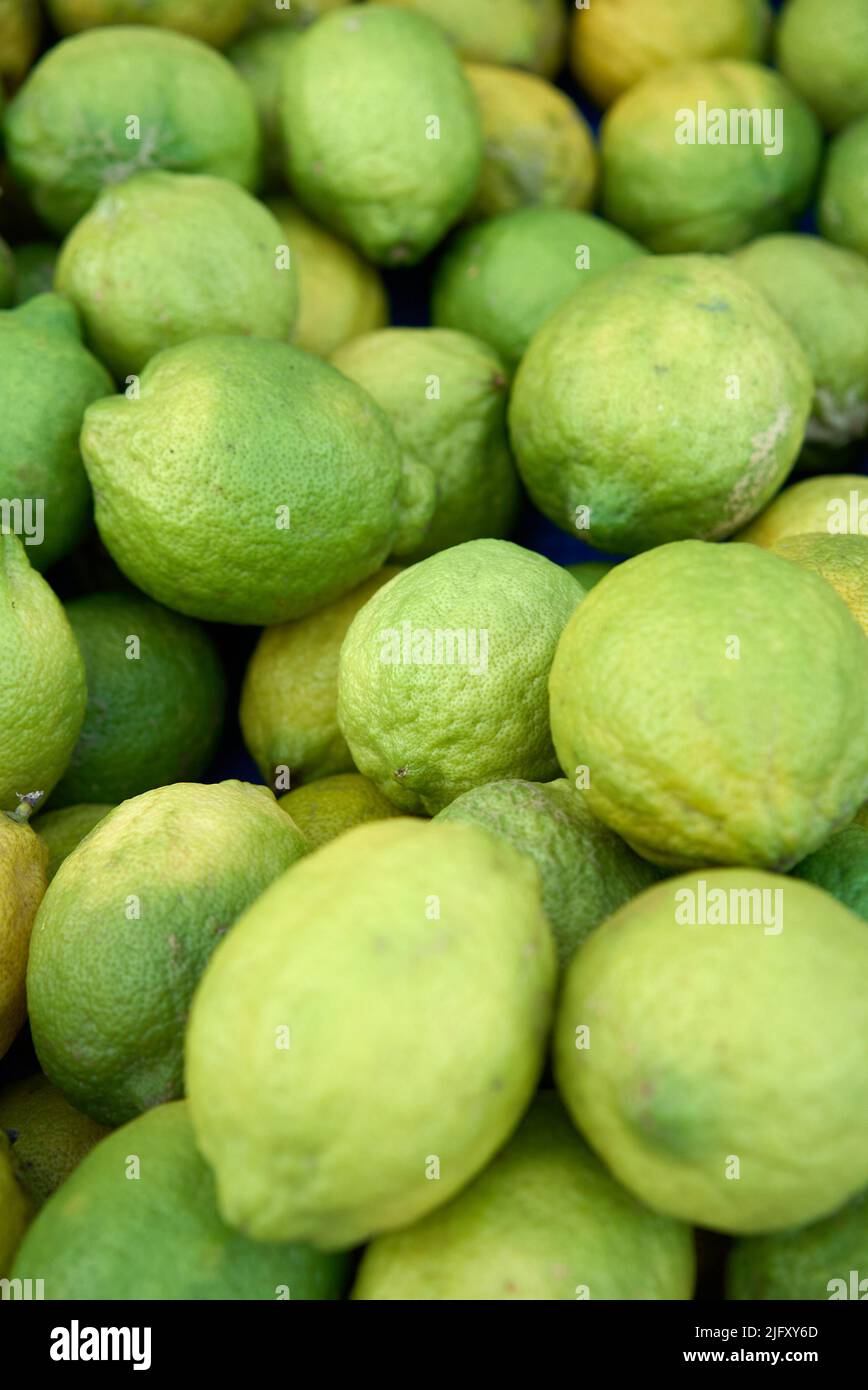 Lime Citrus Fruits In Fruit Market Stock Photo Alamy