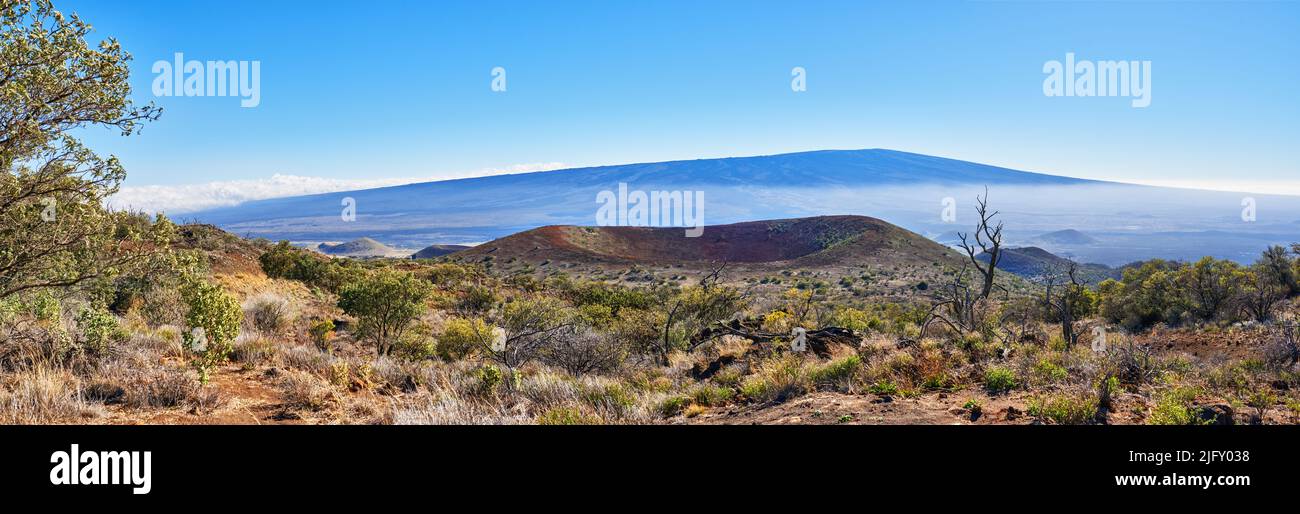 The worlds largest volcano Mauna Loa in Hawaii, Big Island, Hawaii, USA. Mauna Loa is still the largest active volcano on Earth. The Hawaiian shield Stock Photo