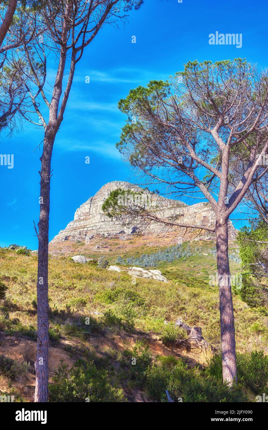 Landscape view, blue sky with copy space of Lions Head mountain in Western Cape, South Africa. Steep scenic famous hiking and trekking terrain with Stock Photo