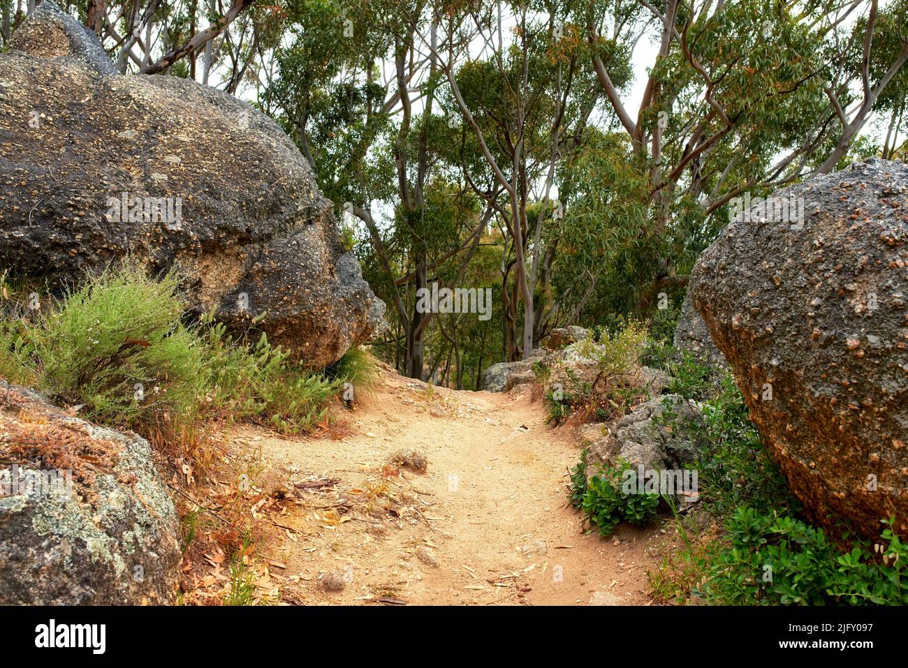 Secluded mountain hiking trail on Table Mountain on a sunny day. Mountainous walking path surrounded by green bushes and trees. Popular tourist Stock Photo