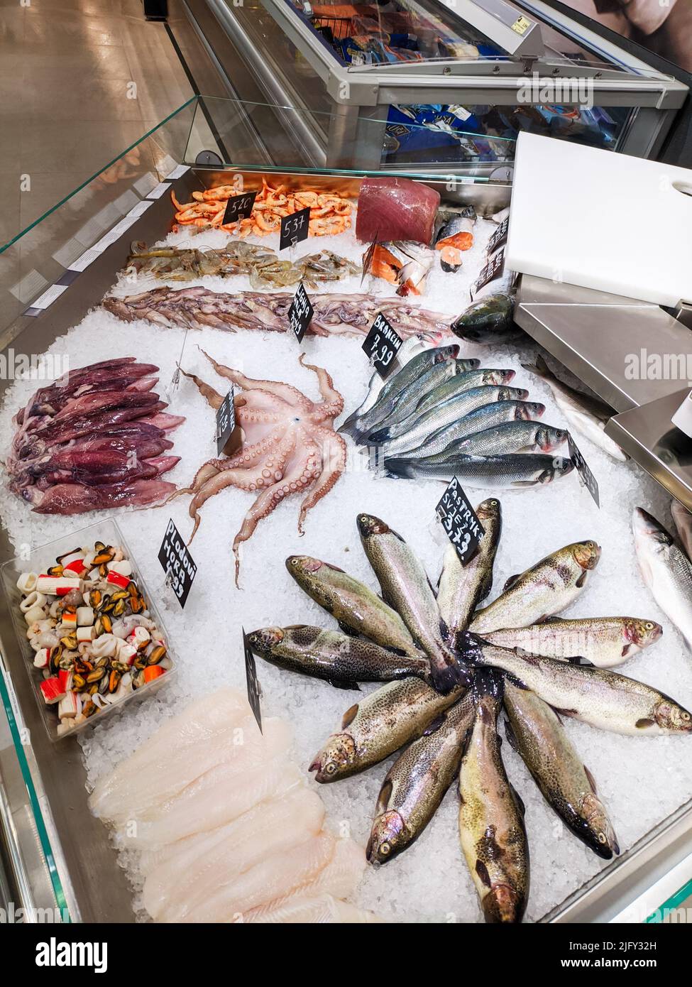 Squids, sea bass, shrimps, salmon lie in ice on the counter Stock Photo