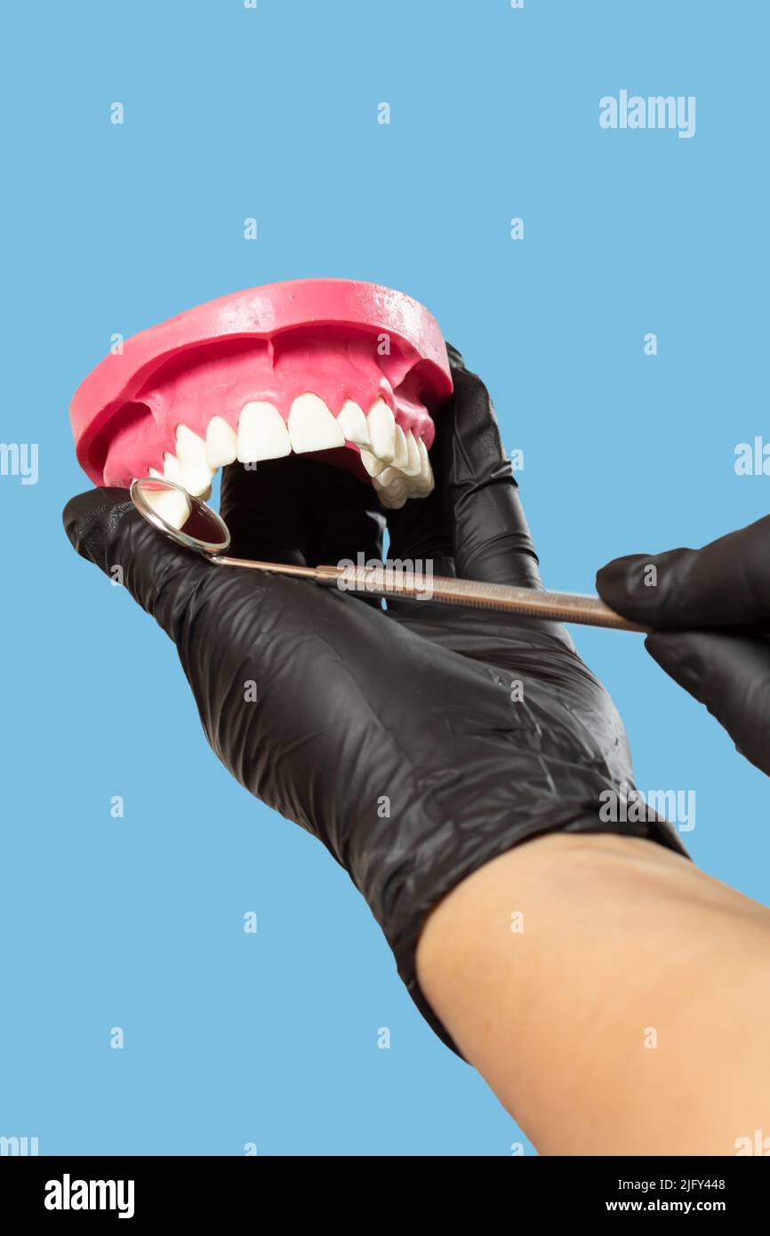 Dentist with a layout of the human jaw is examining teeth with mirror ...