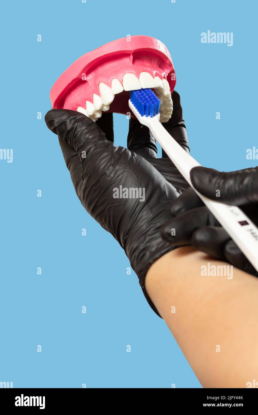 Close-up view of the hand with a human jaw layout and a toothbrush ...