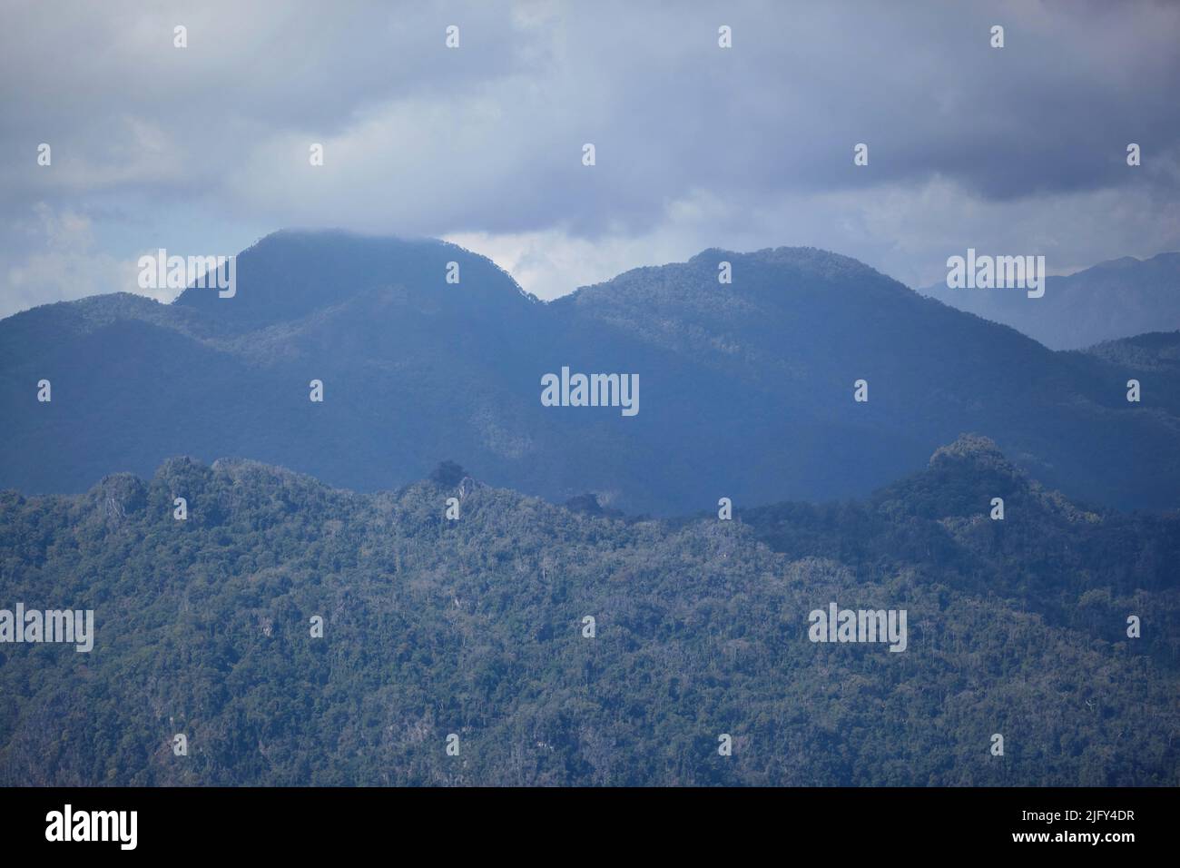Cloudy sky with mountain forest hi-res stock photography and images - Alamy