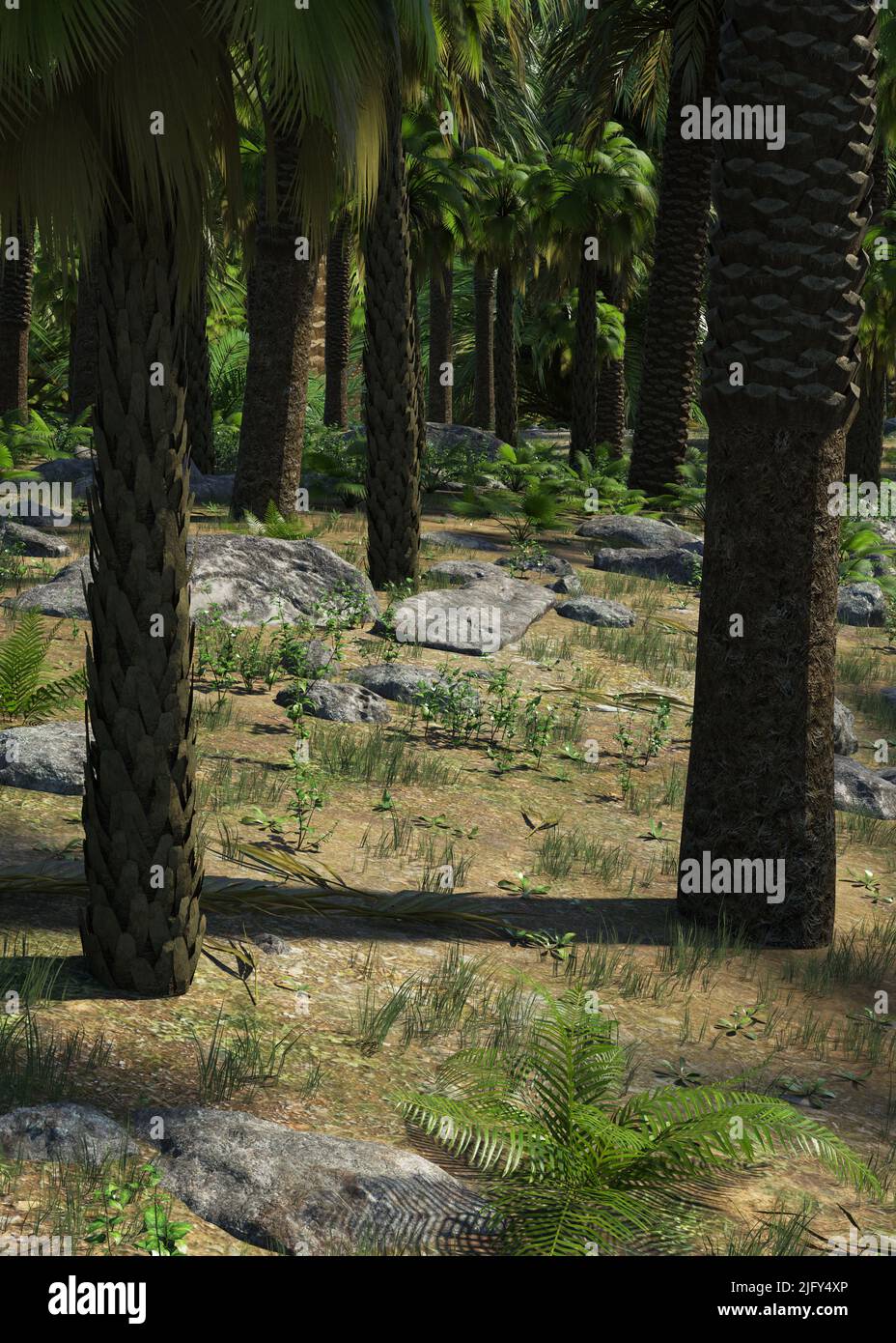 Tropical island with palm trees and plants, 3D Illustration Stock Photo ...