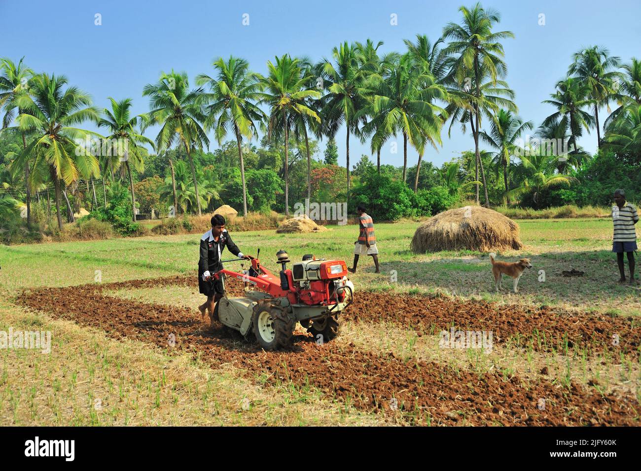 Farmer ploughing field with the help of power tiller at village Achara