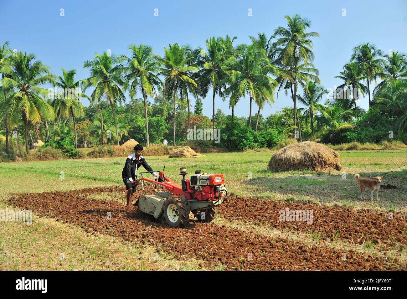 Farmer ploughing field with the help of power tiller at village Achara