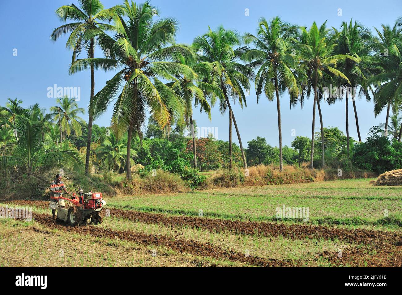 Farmer ploughing field with the help of power tiller at village Achara