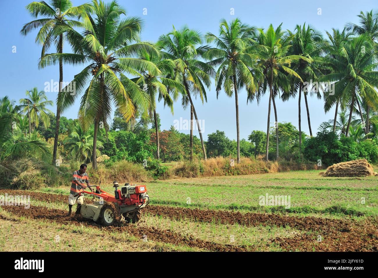 Farmer ploughing field with the help of power tiller at village Achara