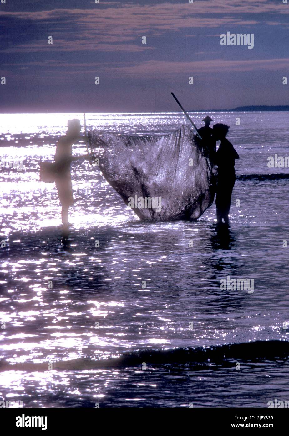 Dawn fishermen, husband and wife team, sweeping the lagoon for shrimps, Sanur beach area of Bali Stock Photo