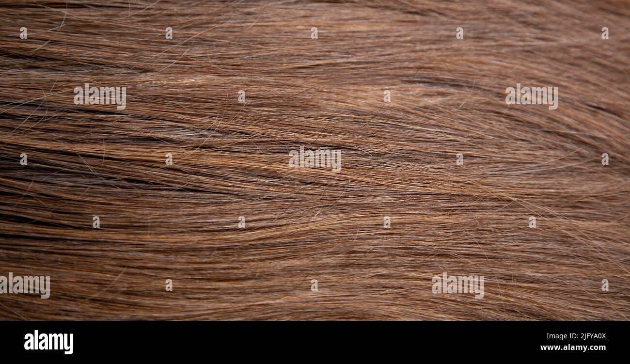 Rendering Straight Brown Hair Isolated Stock Photo by ©grbrenders 583328928