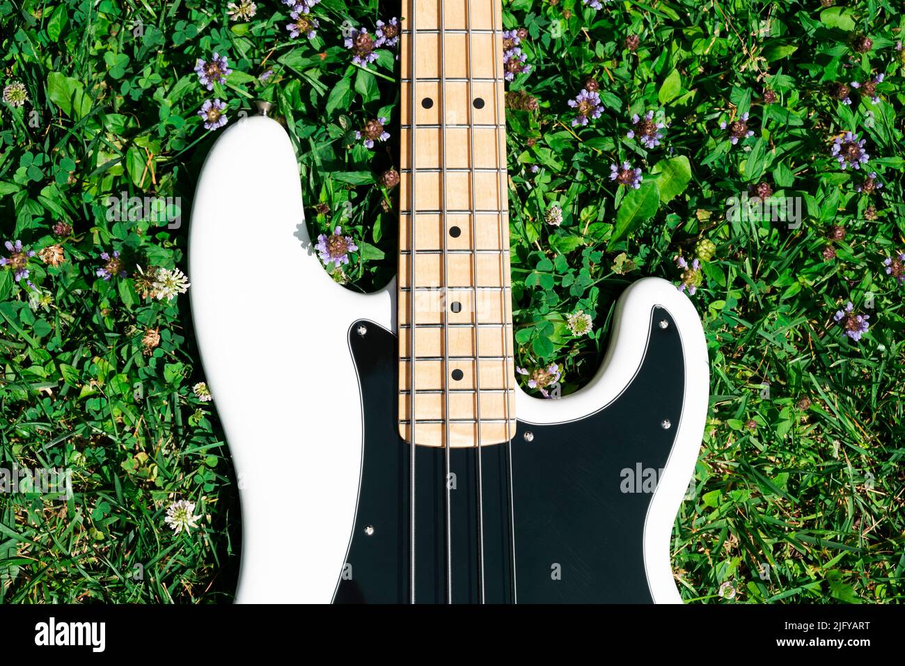 Electric Bass in The Grass Stock Photo Alamy