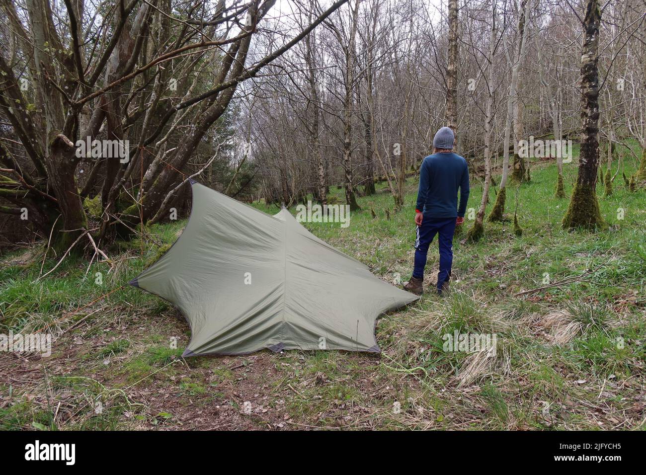 Silwing tarp on sale