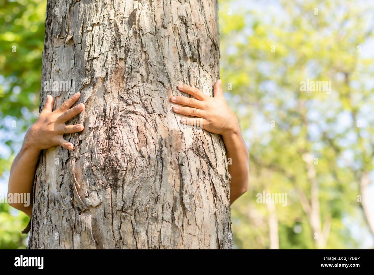 Tree hugging. Asian man giving a hug on big teak tree hug. Love tree and nature or environment concept Stock Photo